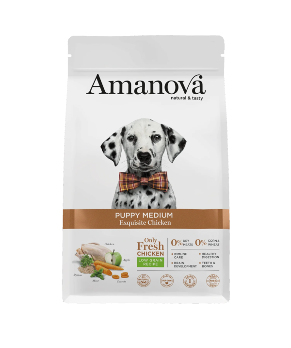 Amanova dog puppy medium Exquisite pile 12kg