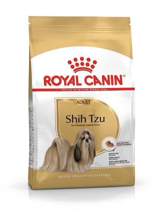 RC Shih Tzu 1,5kg adult