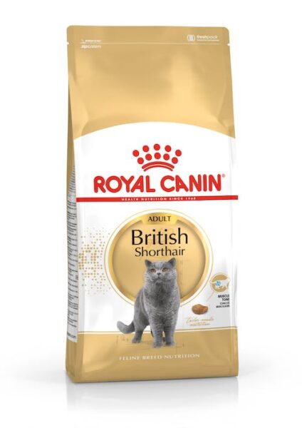 RC Fel.British Shorthair 2kg