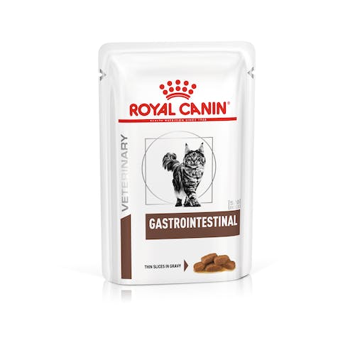 240390102 RC VD Fel.Gastro Intest.85g 1/12