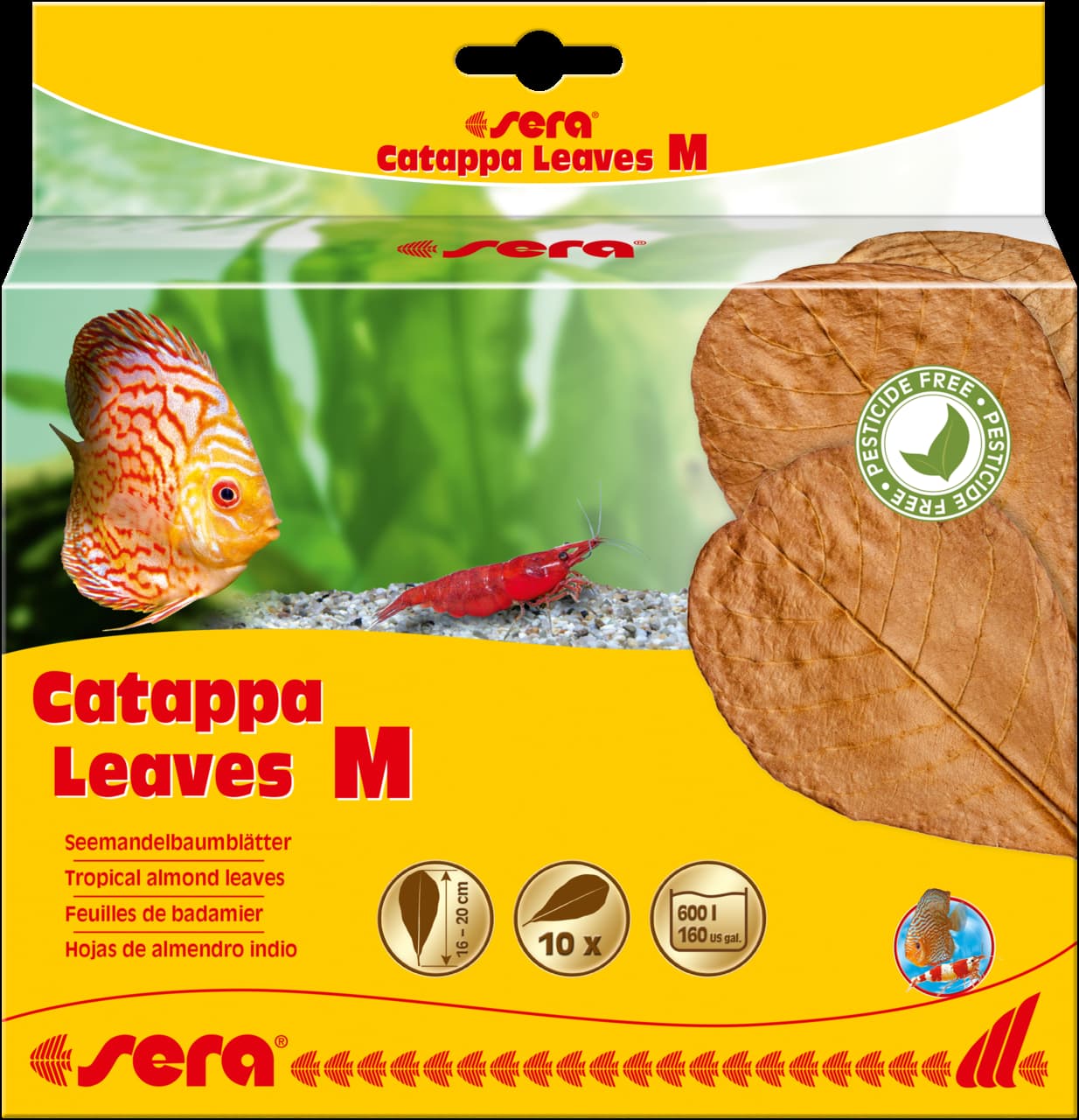 45244 (32274) Sera Catappa lišće M 16-20cm 10kom