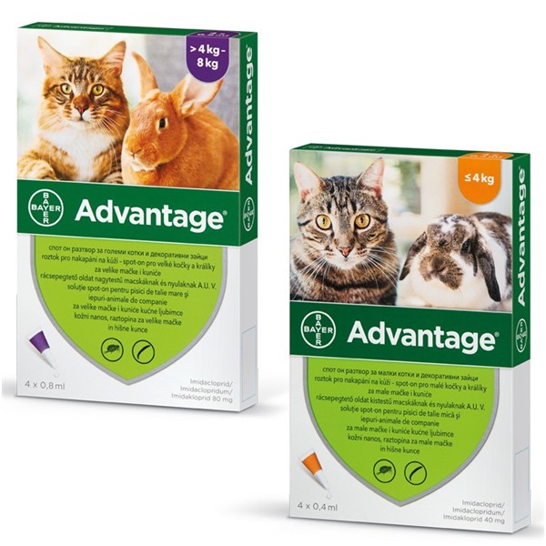 Advantage 40 Cat 0.4ml 1/4 pip.