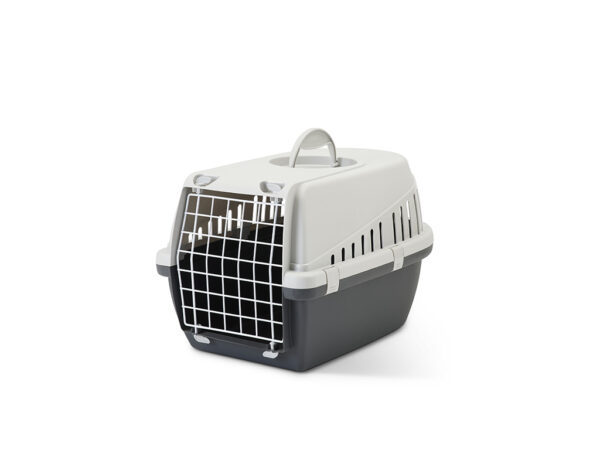 Transporter trotter 1