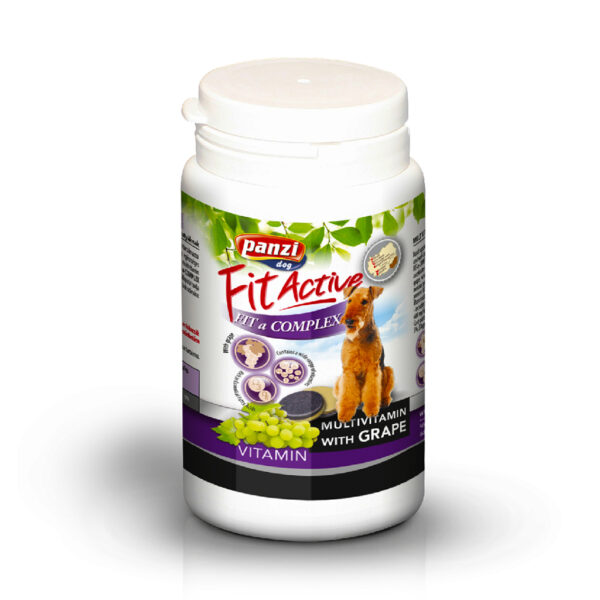 306346 Panzi Fit-Active Vitamini Complex 60g