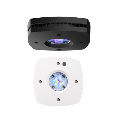 Rasvjeta Hydra 16 HD black