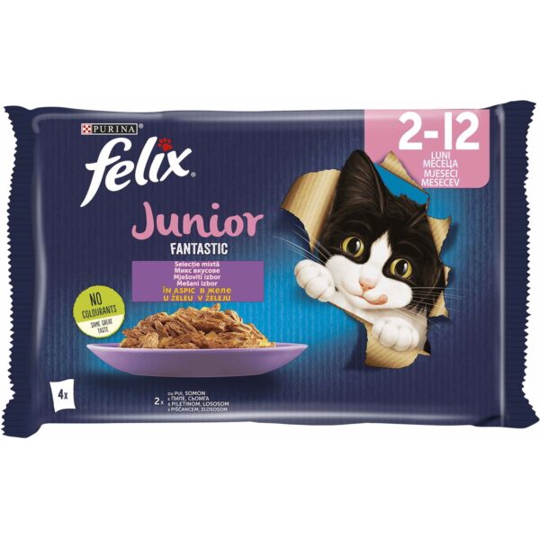 Felix Junior Piletina