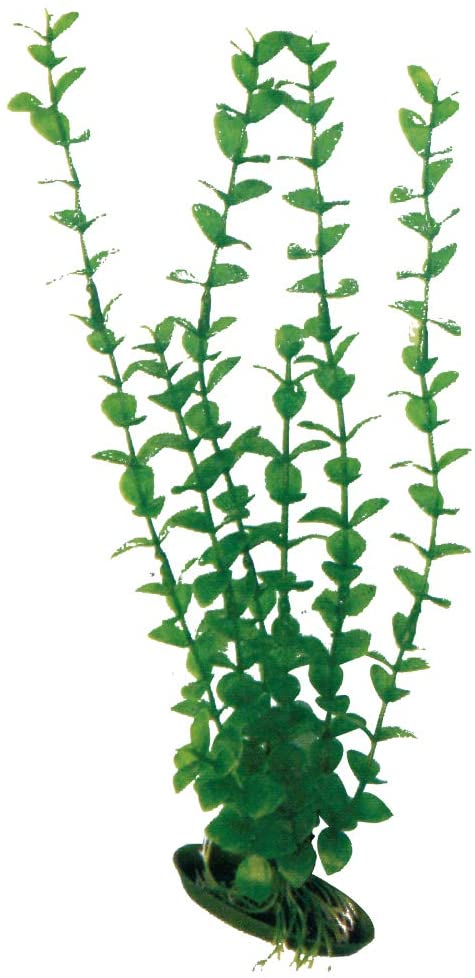 Plastično bilje Rotala