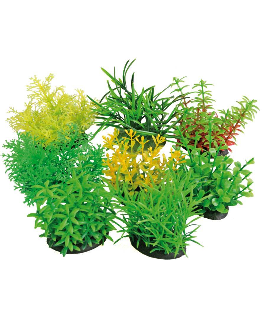 Plastično bilje tropical