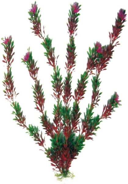 Plastično bilje Flora bicolor