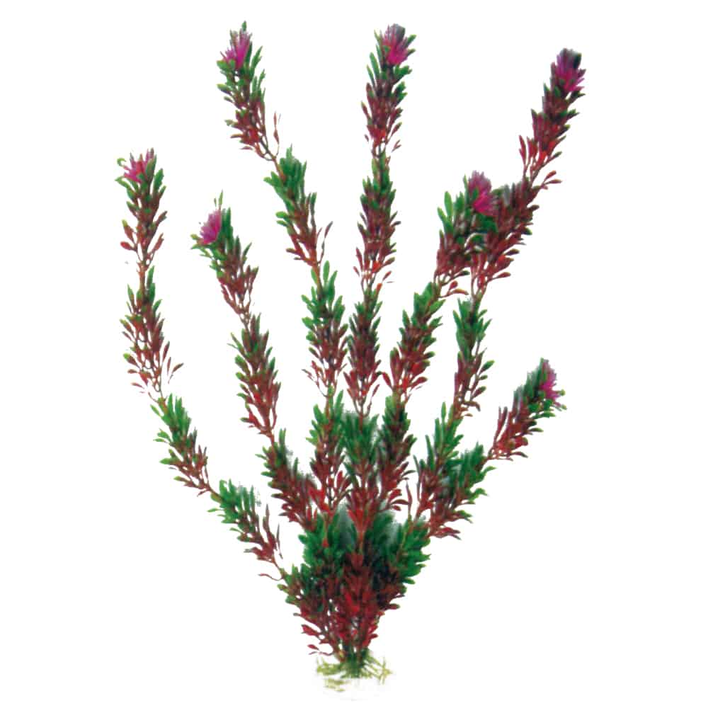 A8011184 PLASTIČNO BILJE L 27cm Flora bicolor