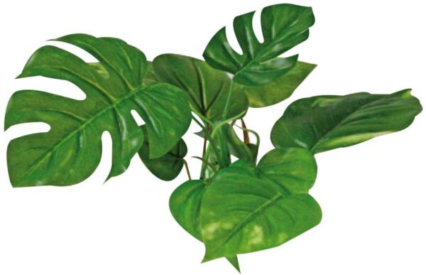 PLASTIČNO BILJE S 15cm ANUBIAS svileno