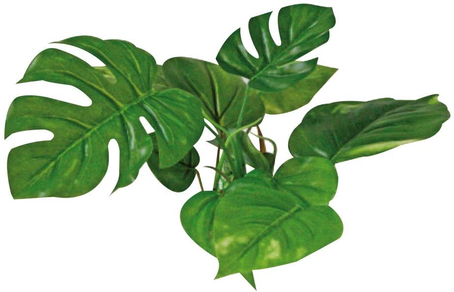 PLASTIČNO BILJE S 15cm ANUBIAS svileno