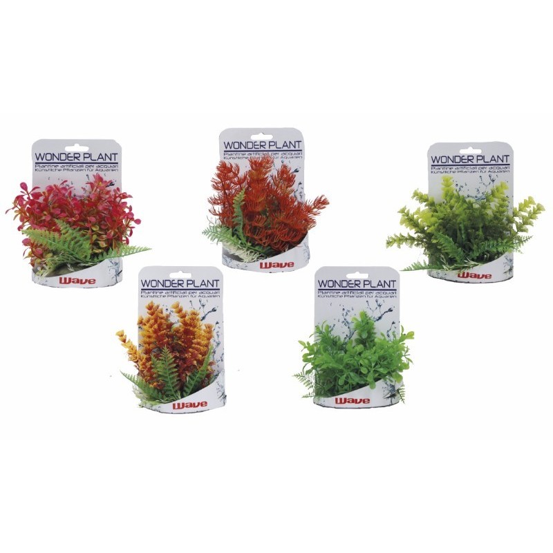 A8011052 Plastično Bilje Wonder plant C 15-18cm