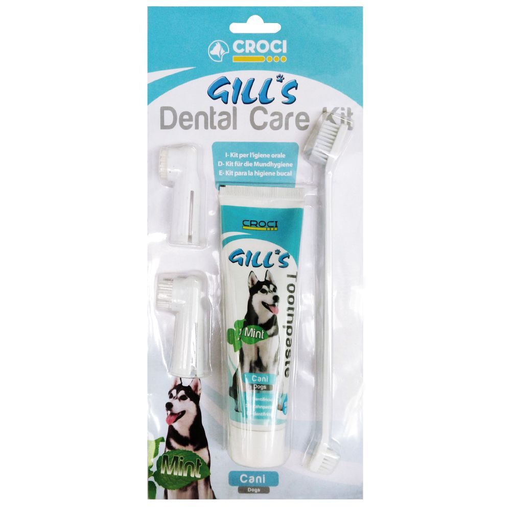C3052374 Gills Dental Pasta+Četkice