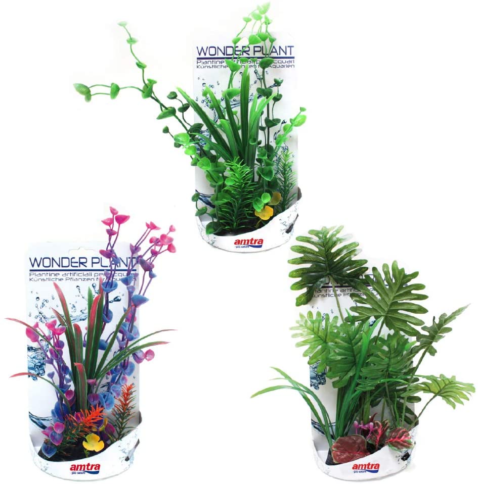 A8011609 Plastično Bilje Wonder plant H 30-35cm