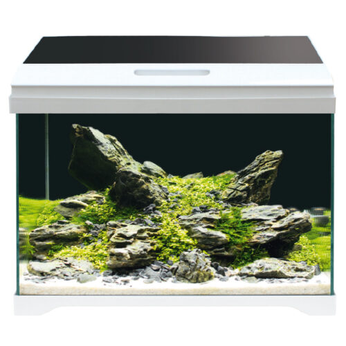 Modern tank