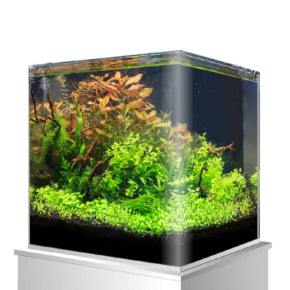 Nano akvarij