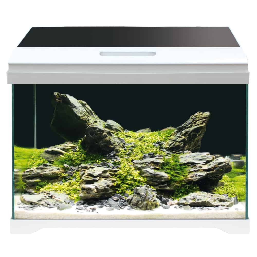 Modern tank