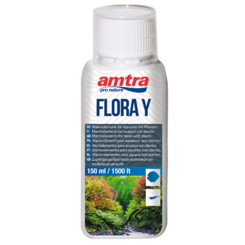 Flora Y