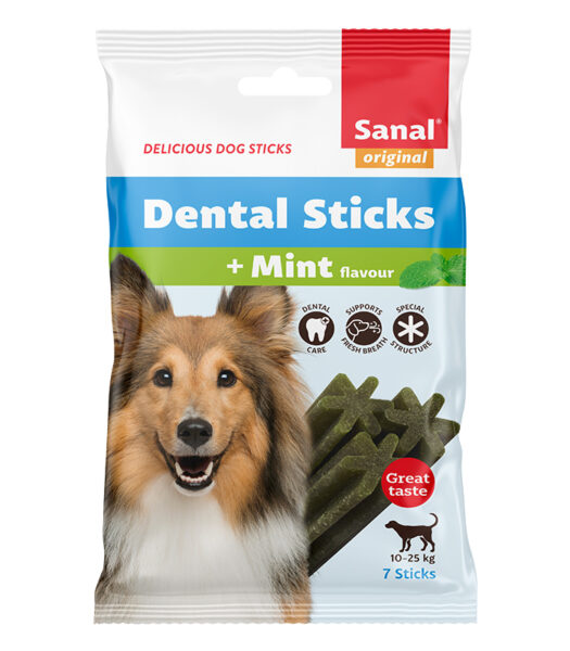 Dental sticks