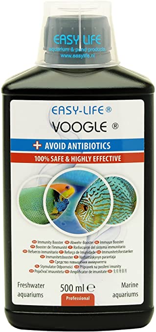 Voogle