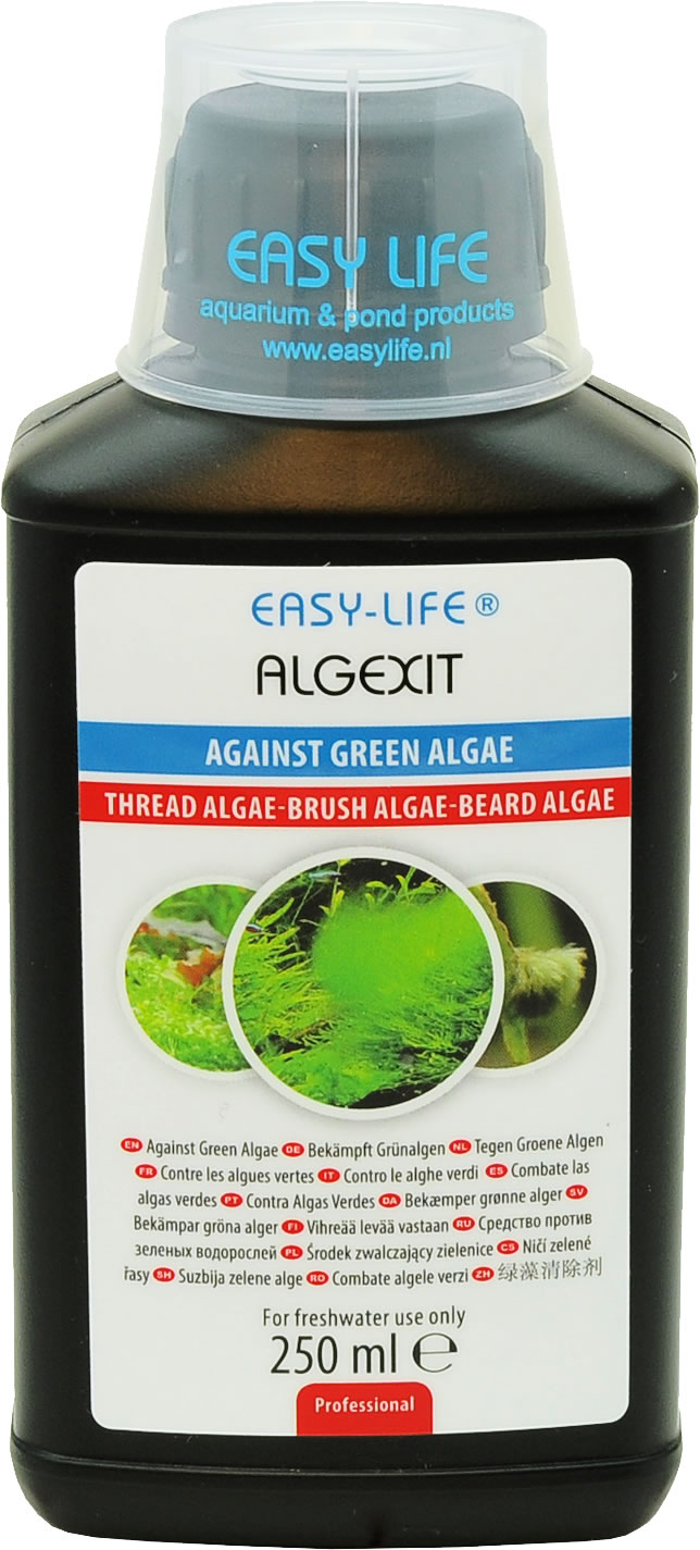 AlgExit