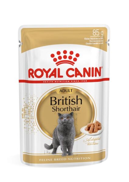 120320102 RC Fel.Vreć.85g British shorthair 1/12