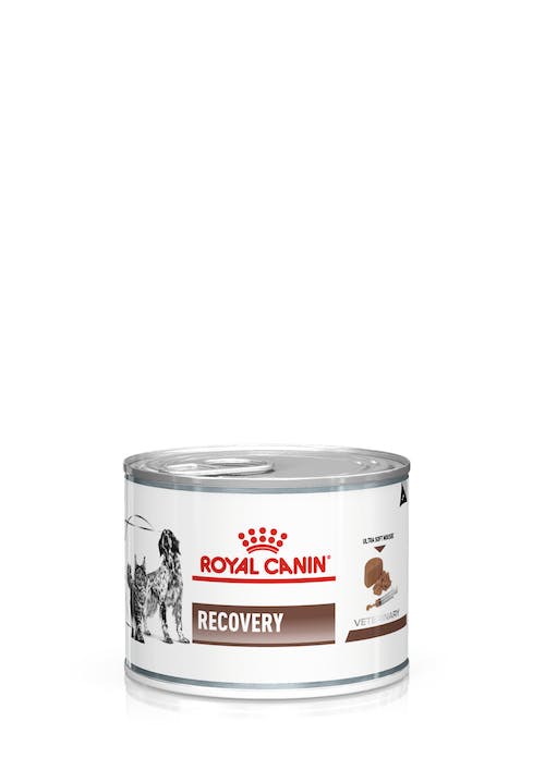 240550020 RC VD Fel/Can.Recovery 195g konz.1/12