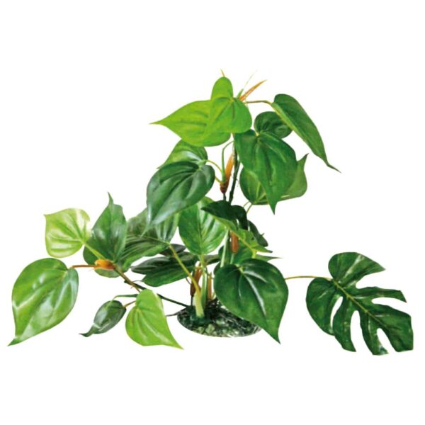 PLASTIČNO BILJE L 30cm ANUBIAS svileno