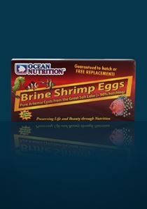 Brine shrimp eggs box